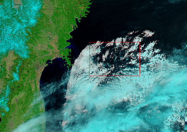 No.11879-1 地震前兆