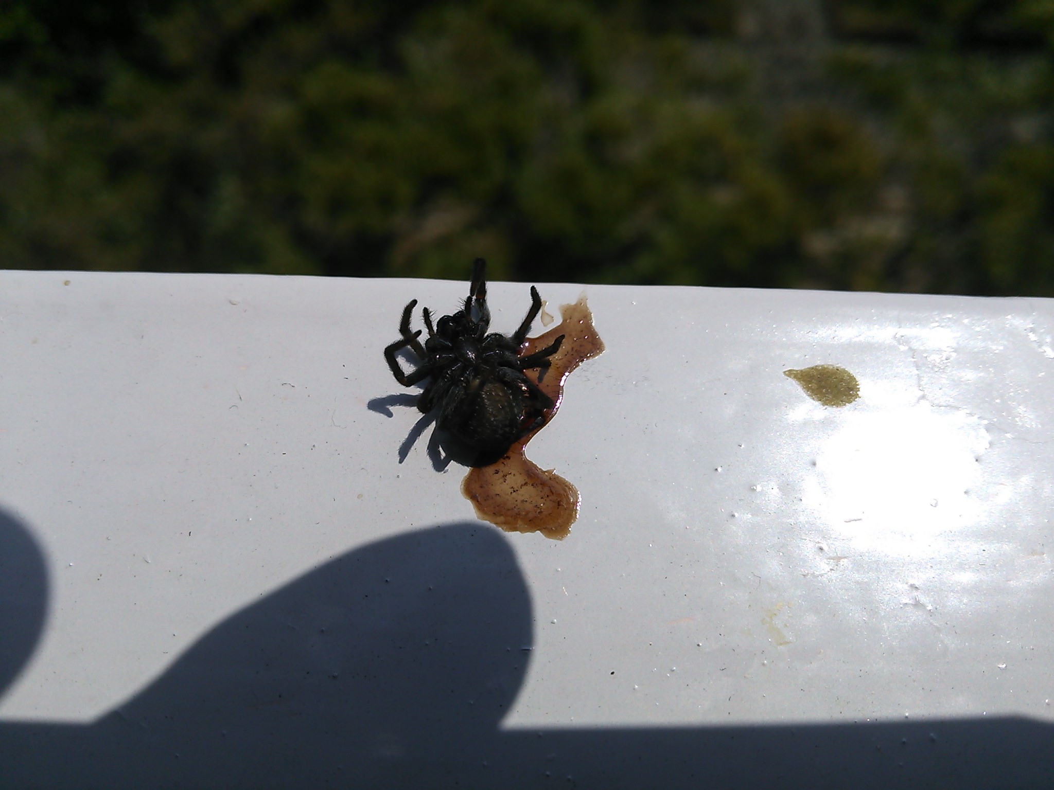 No.13080-1 地震前兆