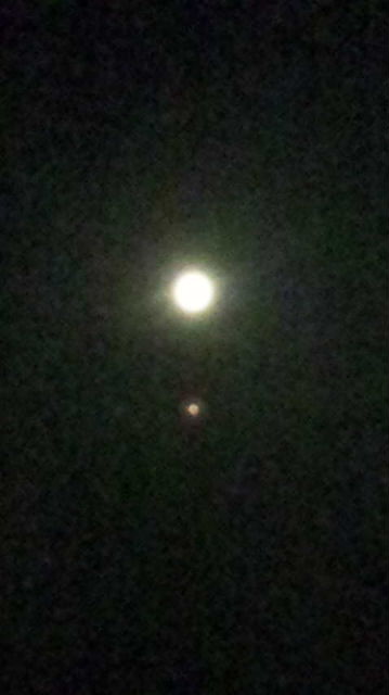 No.19839-1 地震前兆