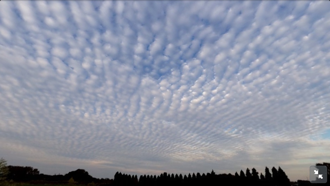 No.20136-1 地震前兆