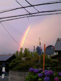 No.22144-1 地震前兆