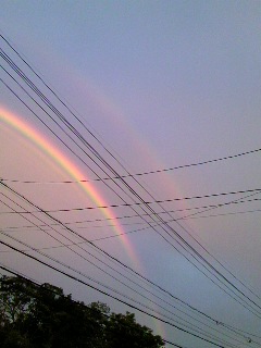 No.22145-1 地震前兆