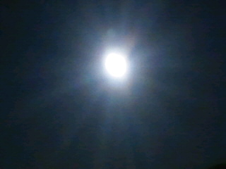 No.23470-1 地震前兆