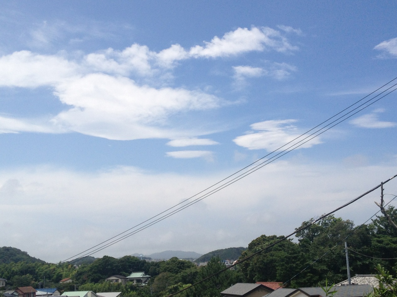 No.24846-1 地震前兆