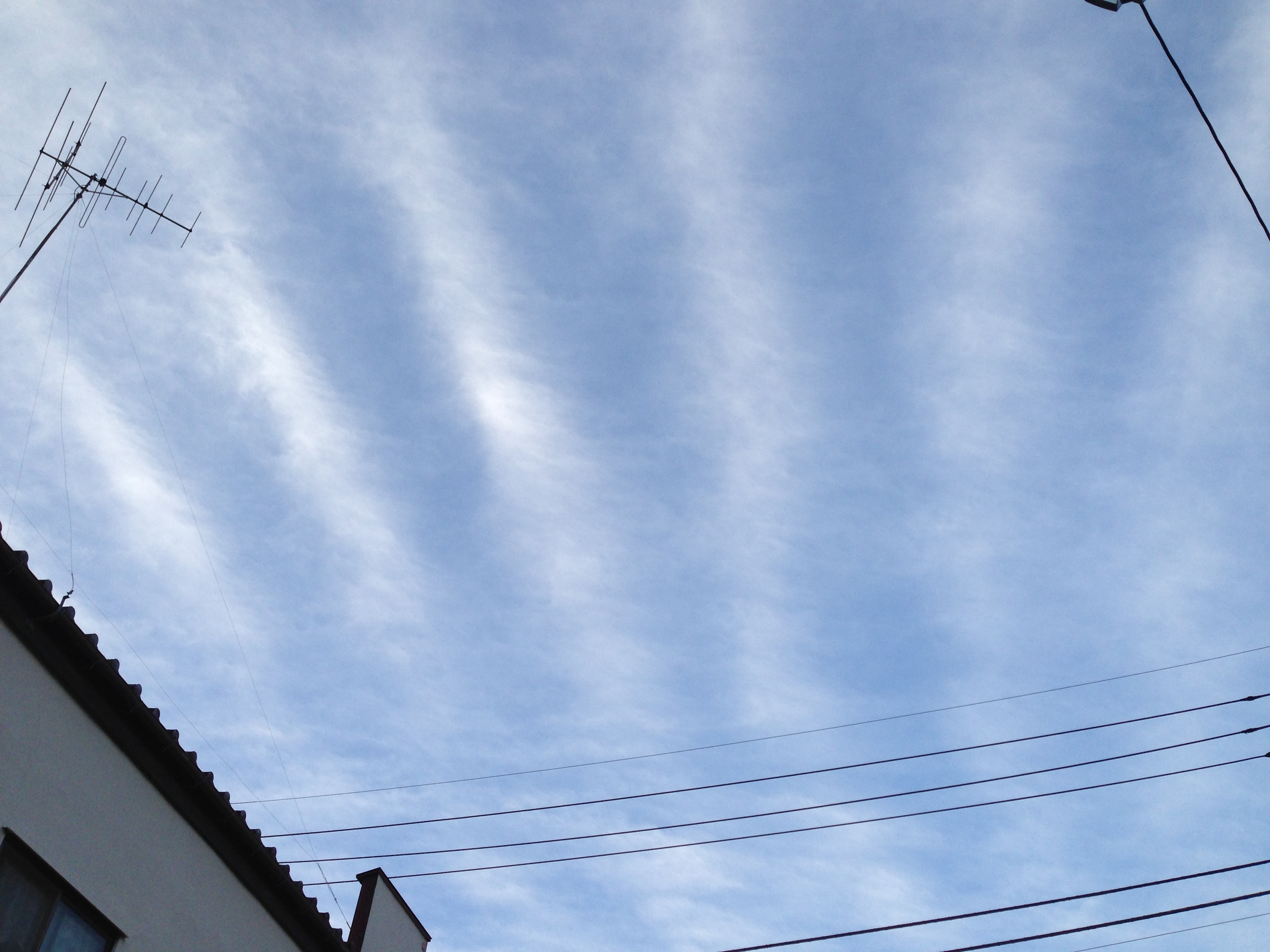 No.25679-1 地震前兆