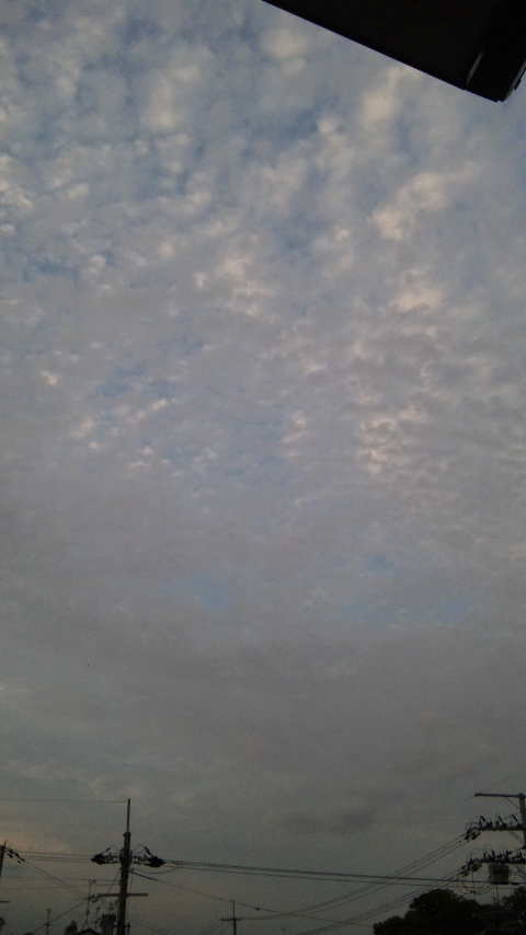 No.30089-1 地震前兆