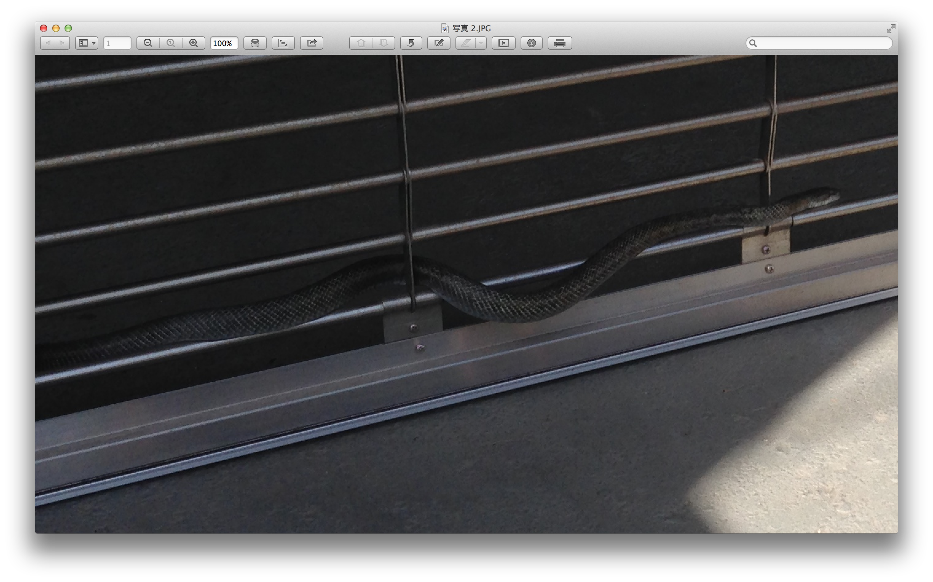 No.31244-1 地震前兆