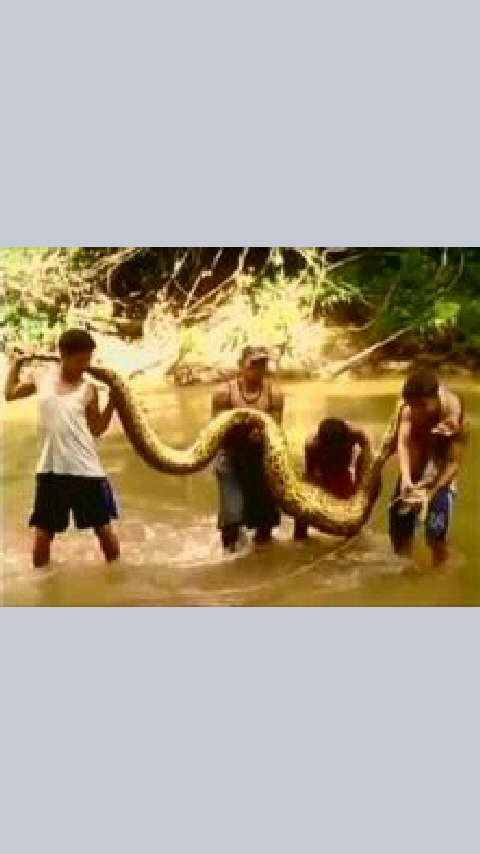 No.31275-1 地震前兆