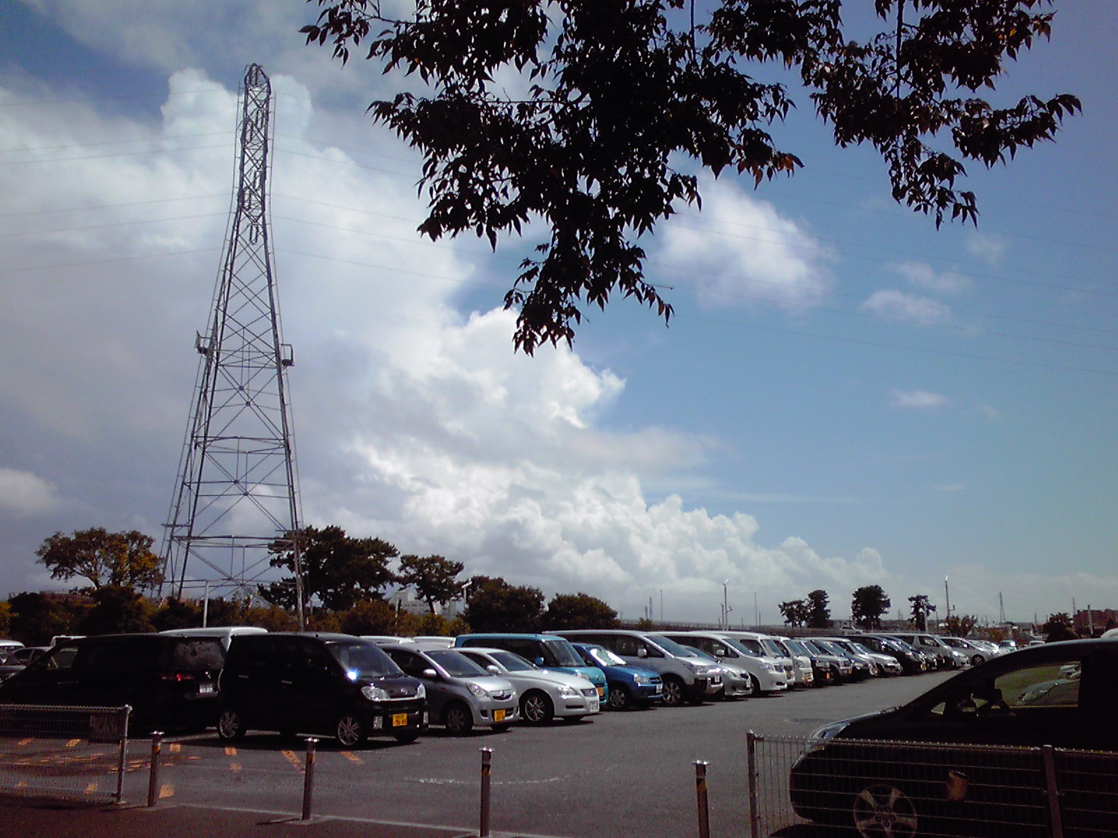 No.31657-1 地震前兆