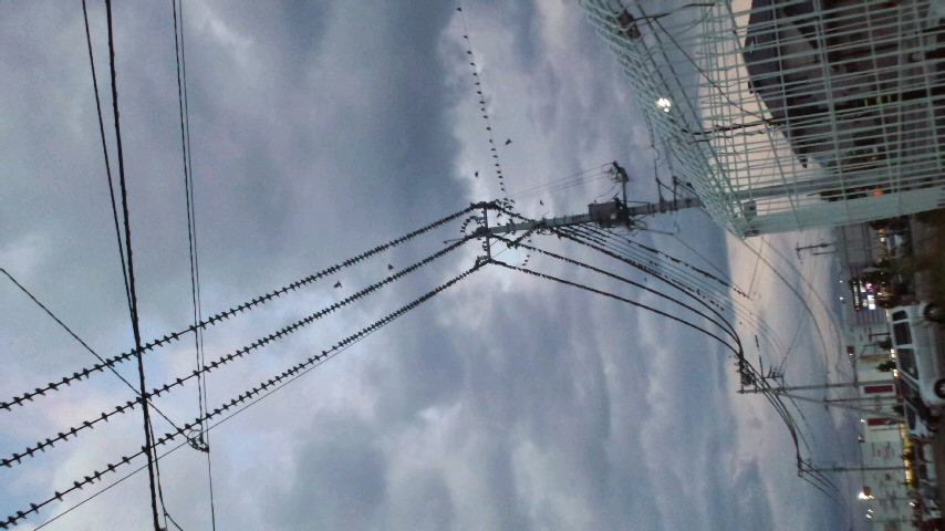 No.31719-1 地震前兆