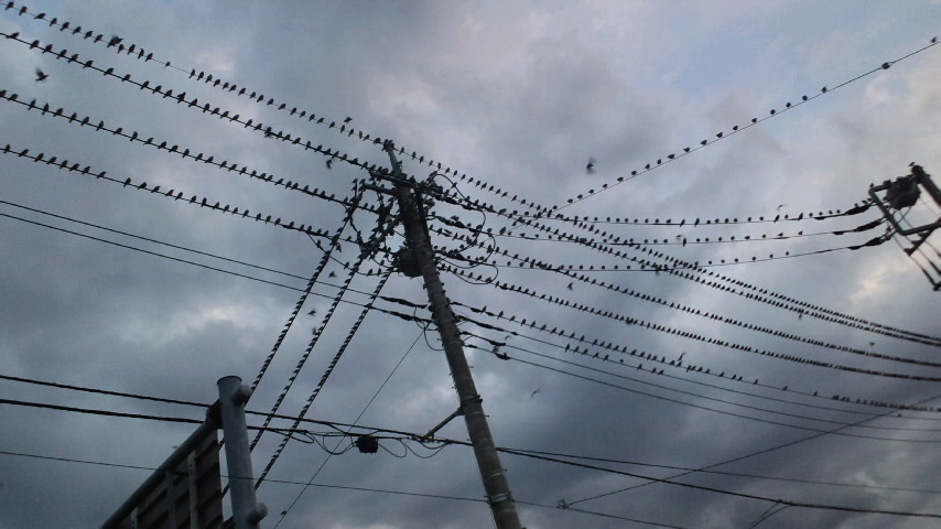 No.31720-1 地震前兆