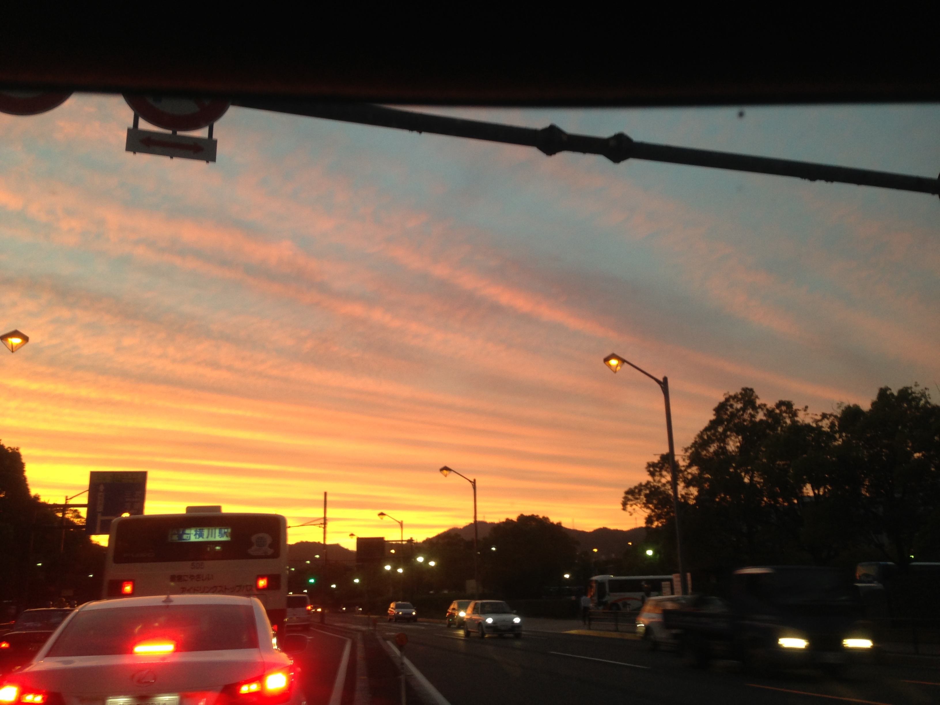 No.33877-1 地震前兆