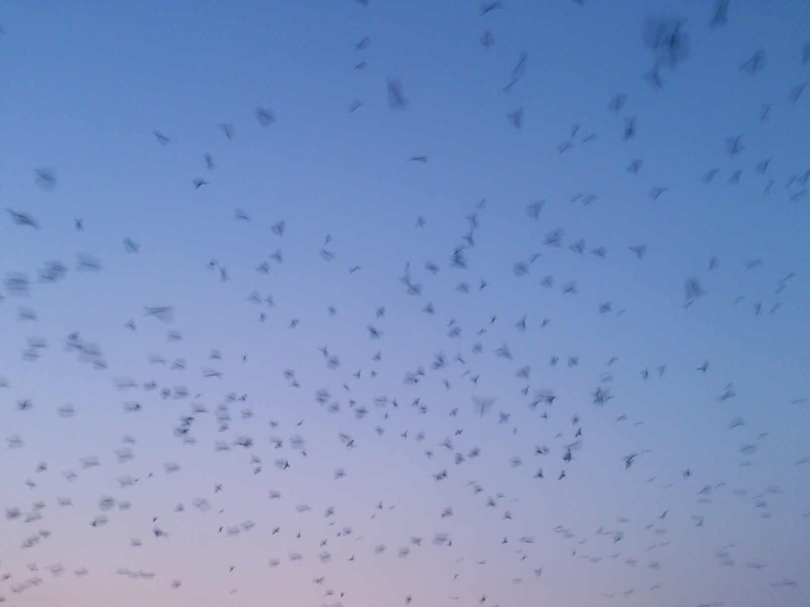 No.34555-1 地震前兆