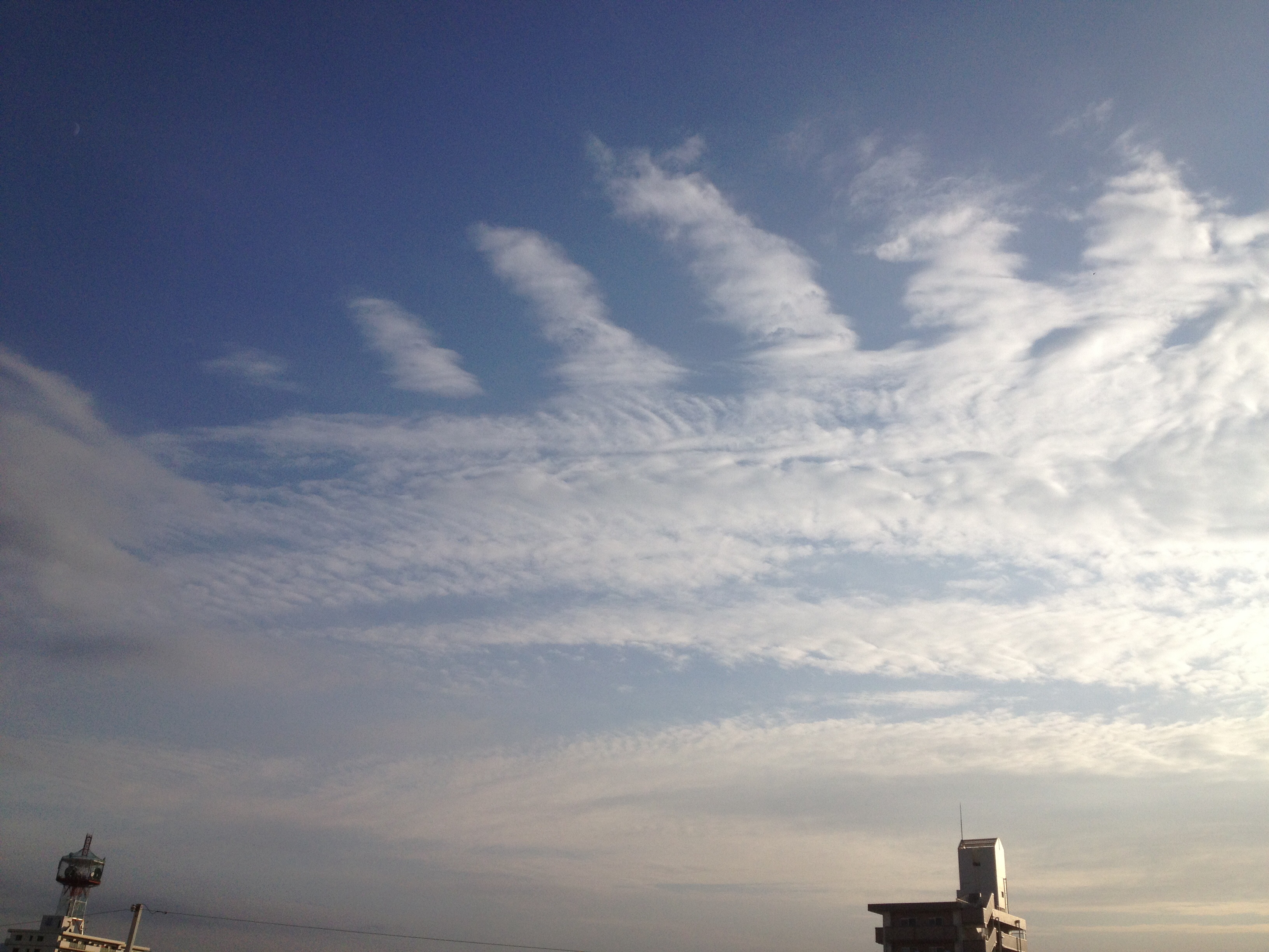 No.36456-1 地震前兆