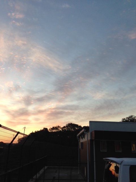 No.36479-1 地震前兆