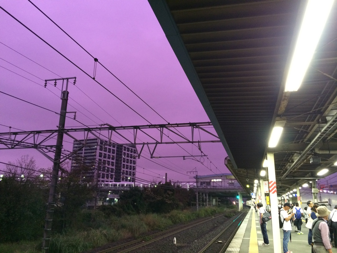 No.37311-1 地震前兆