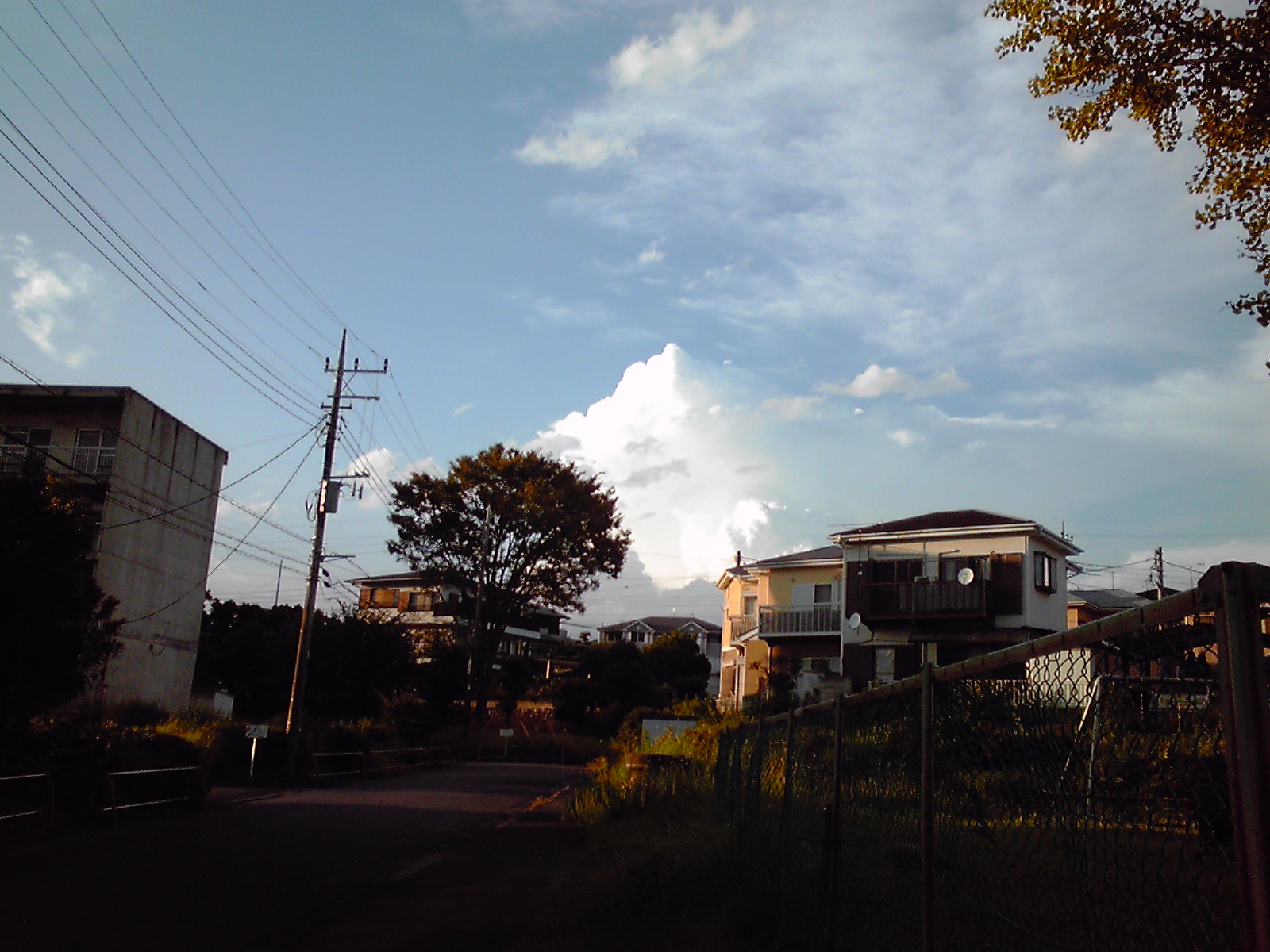 No.37999-1 地震前兆