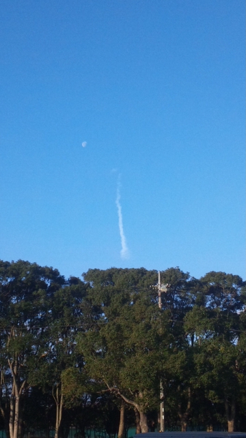 No.38872-1 地震前兆