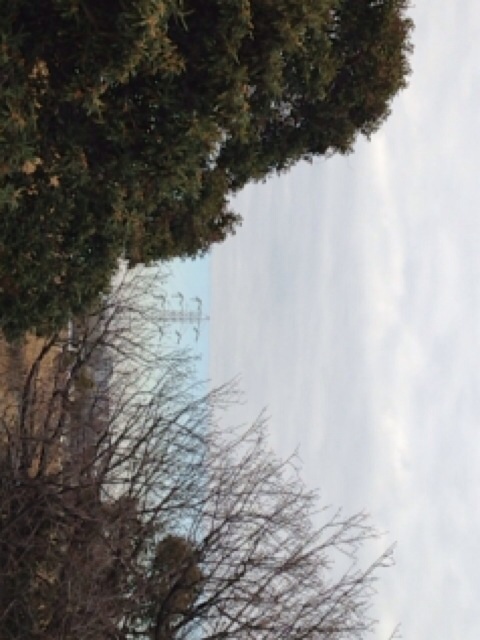 No.41058-1 地震前兆