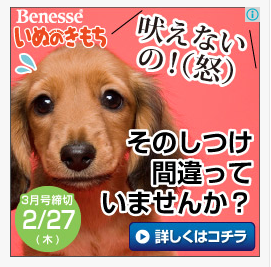 No.41331-1 地震前兆