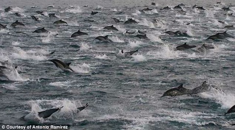 No.43112-1 地震前兆