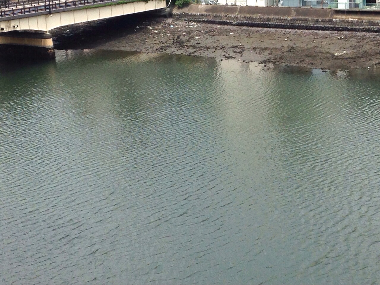 No.44208-1 地震前兆