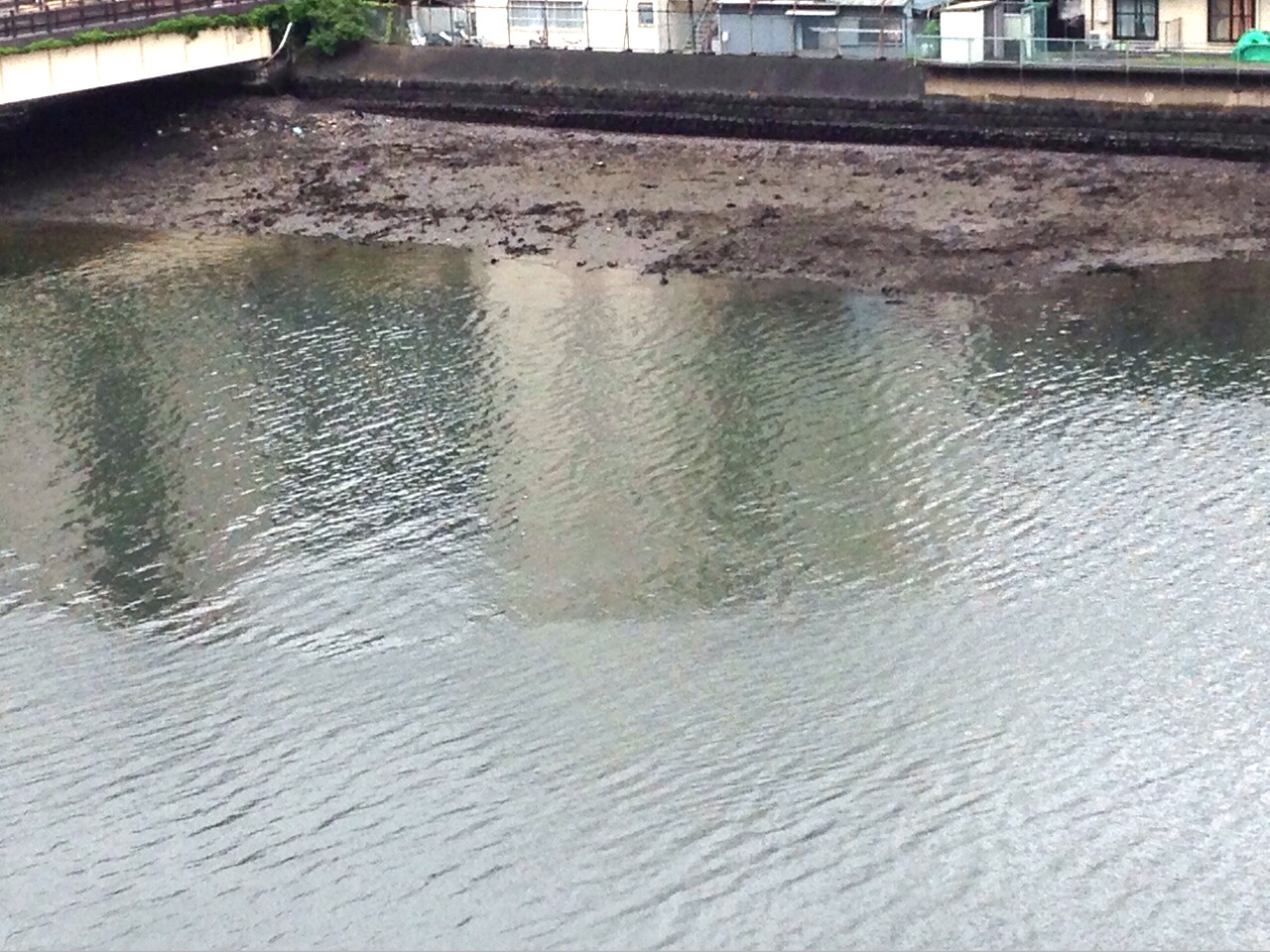 No.44276-1 地震前兆