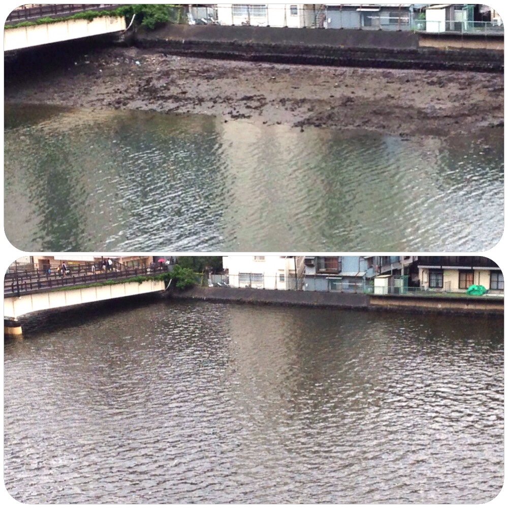 No.44279-1 地震前兆