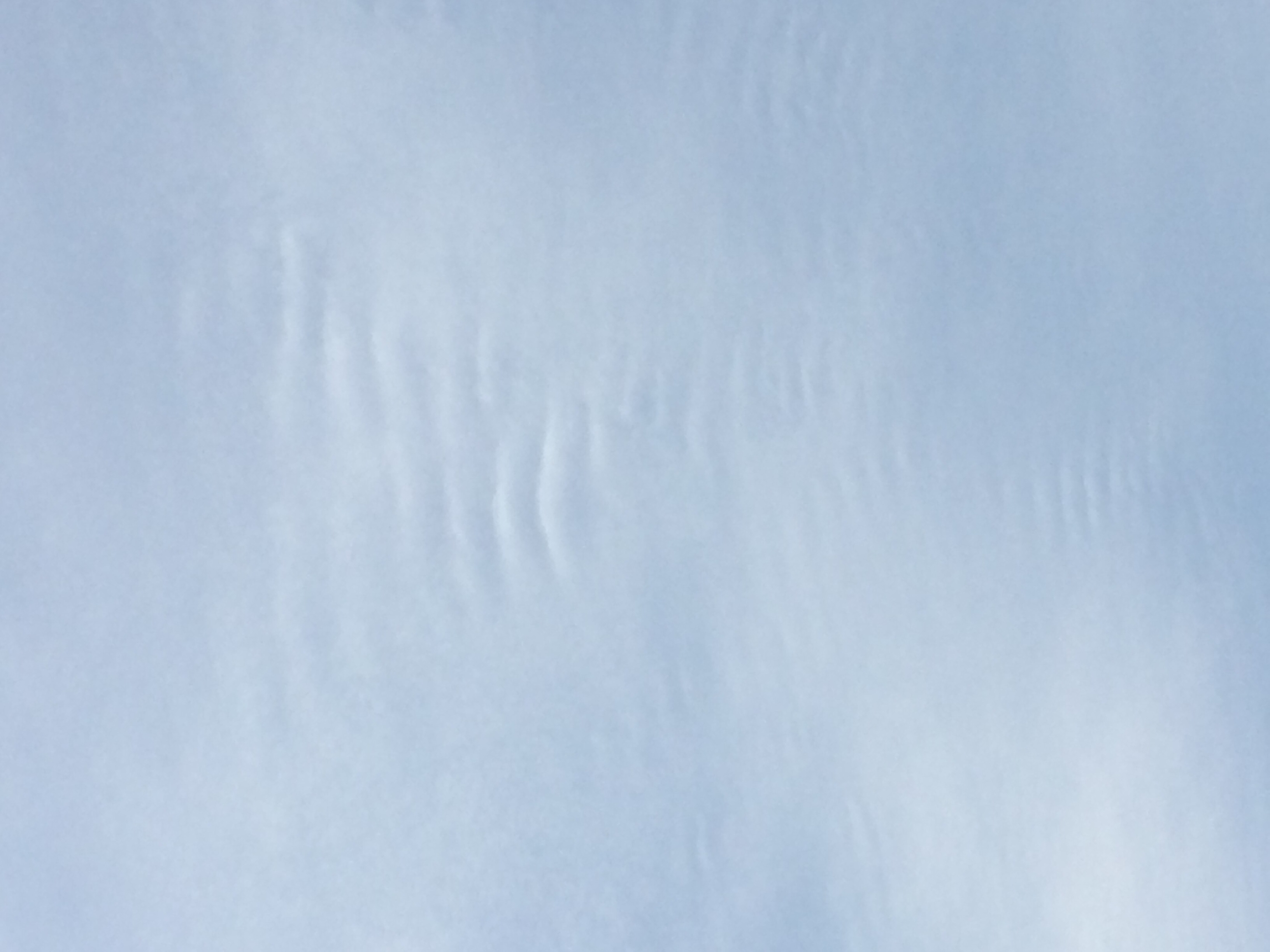 No.44510-1 地震前兆