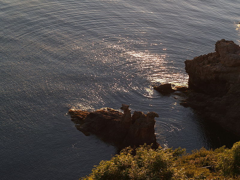 No.44523-1 地震前兆