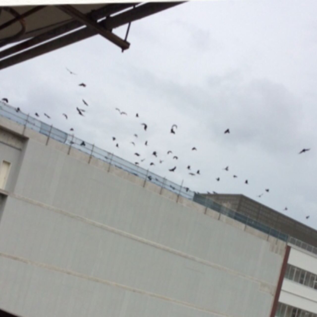 No.46126-1 地震前兆