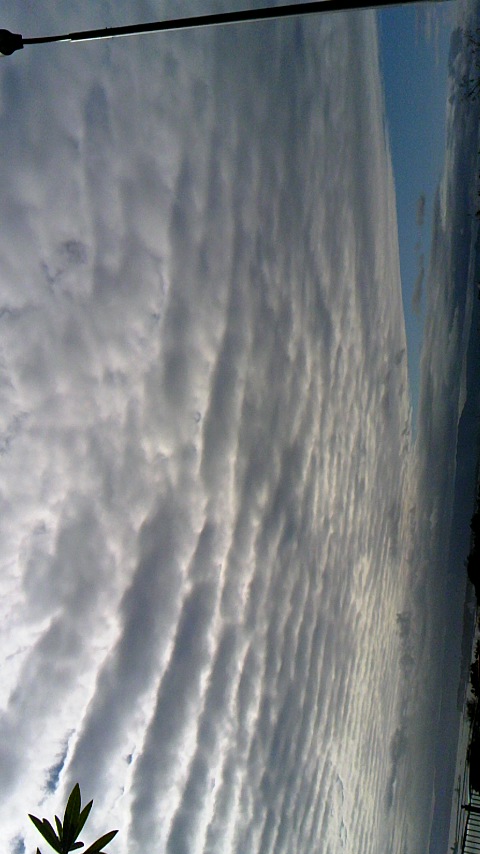 No.47188-1 地震前兆