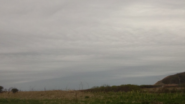 No.51955-1 地震前兆