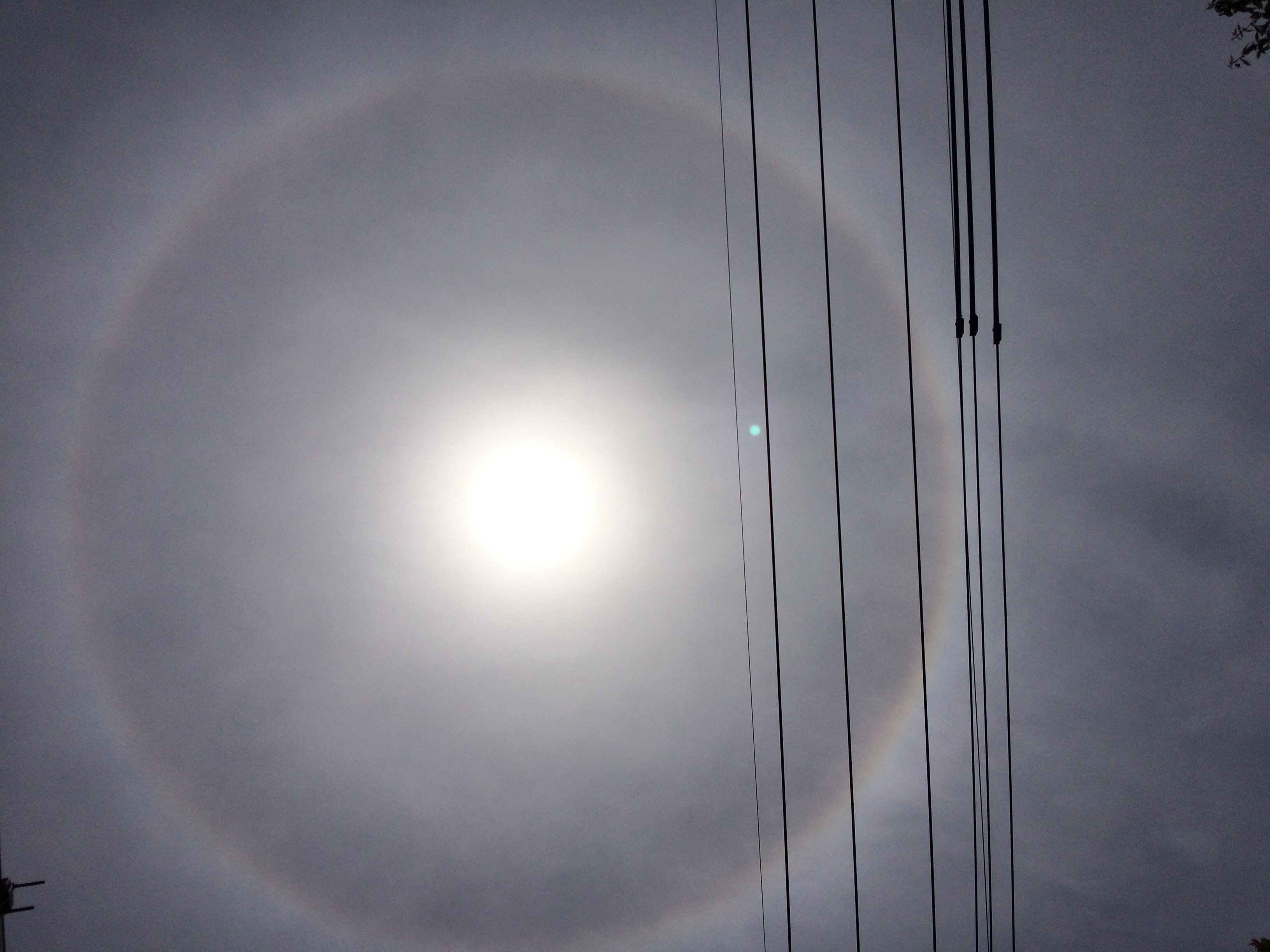 No.52226-1 地震前兆