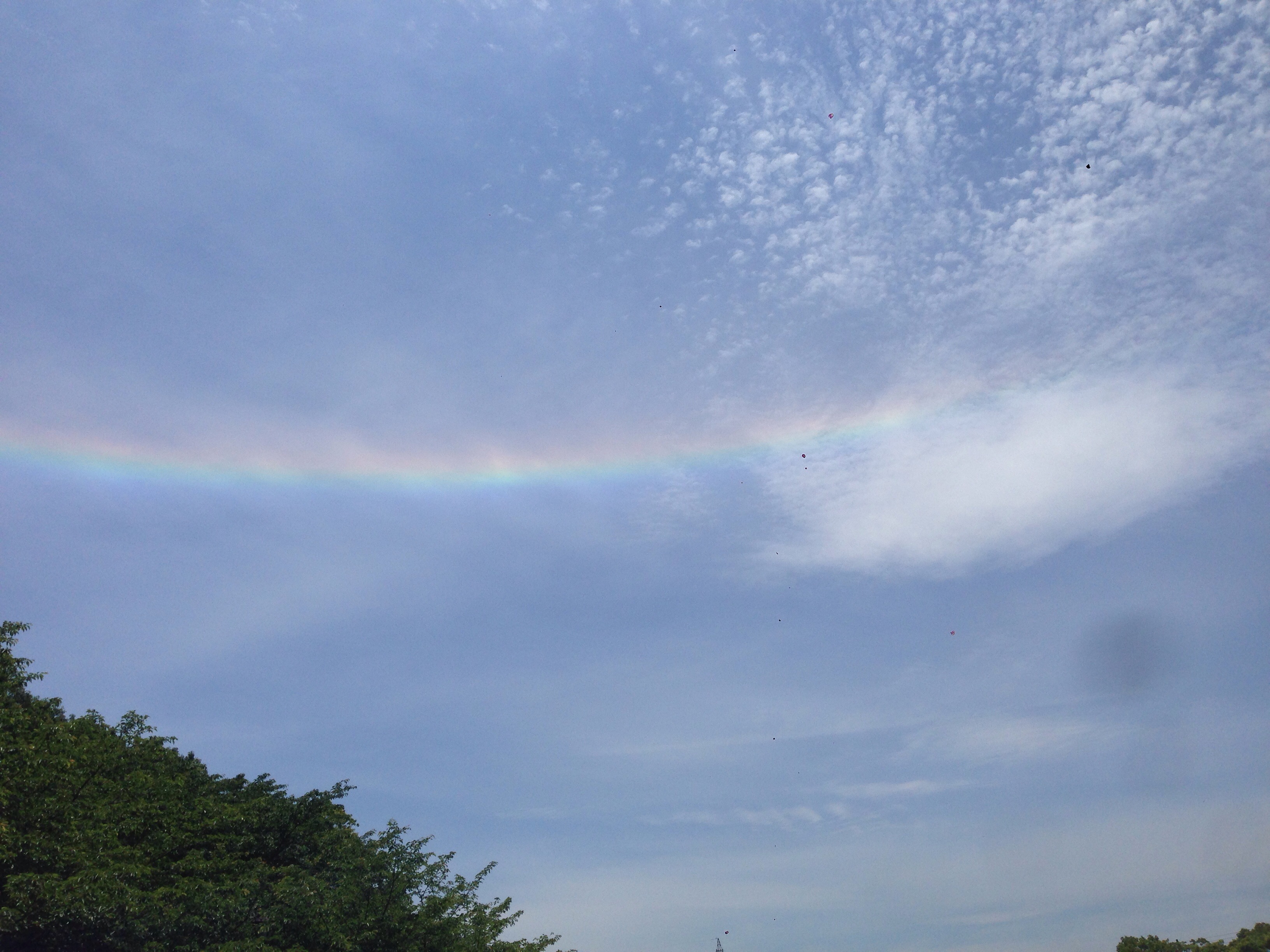 No.52235-1 地震前兆