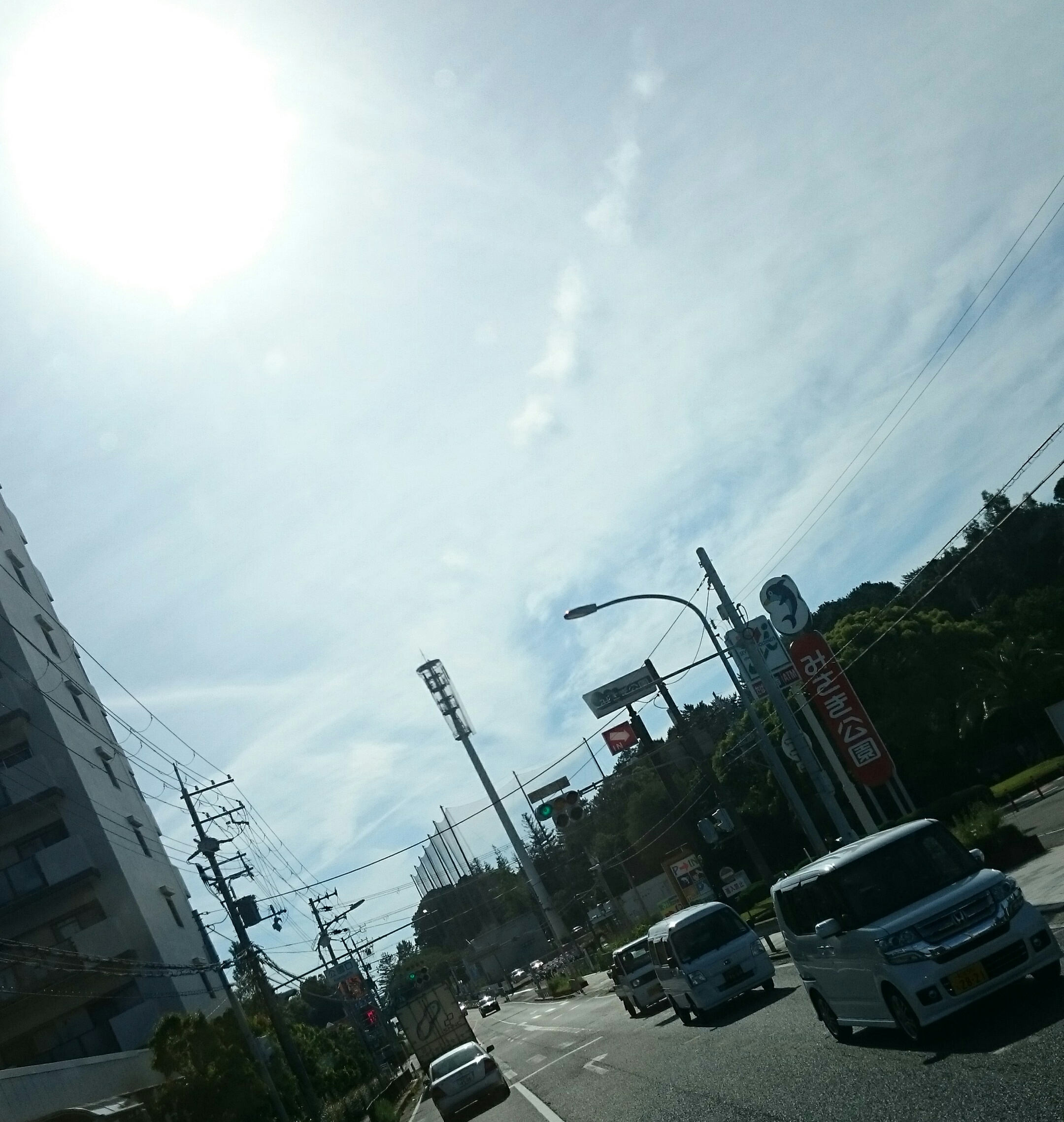 No.52243-1 地震前兆