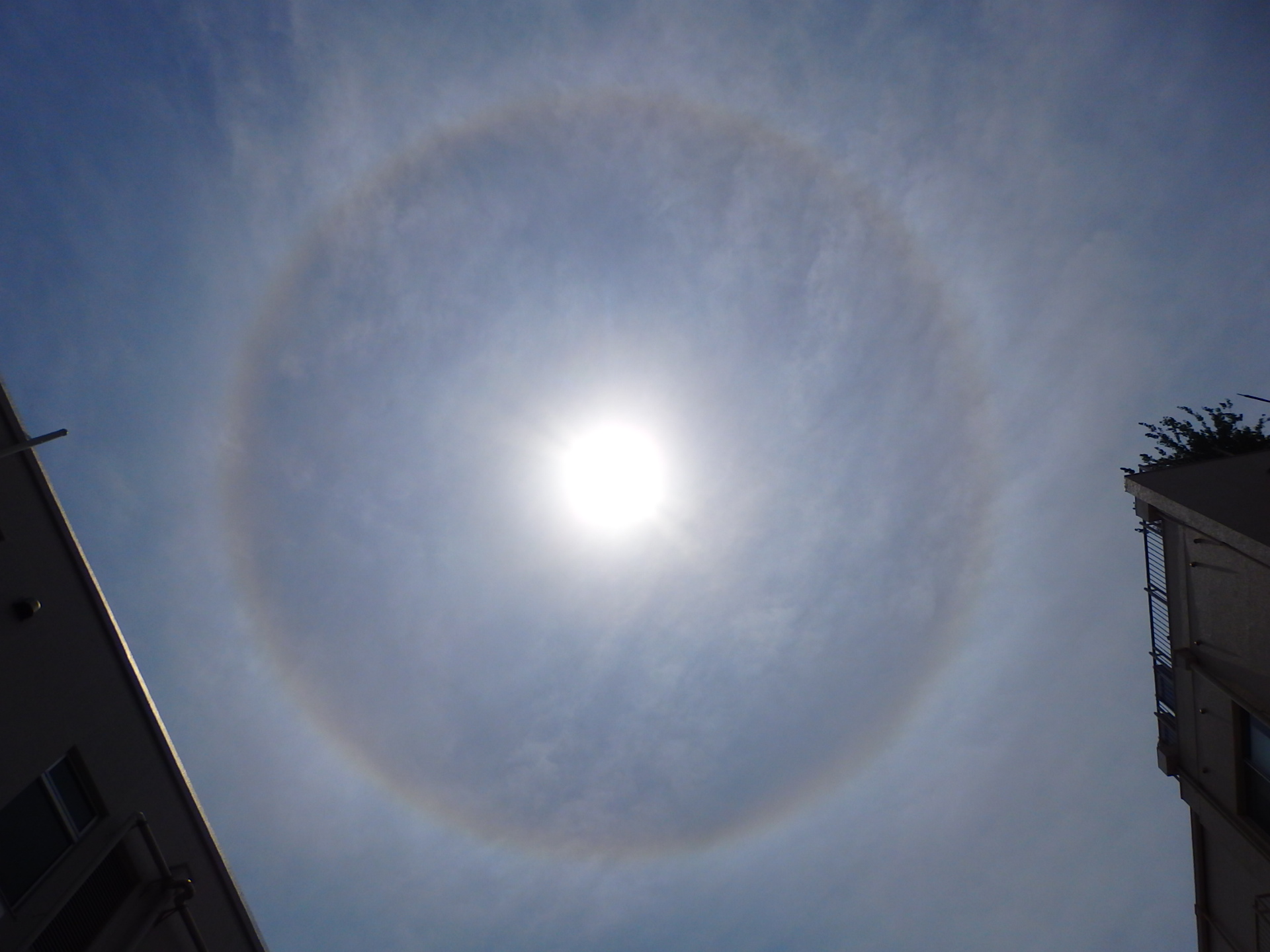 No.53096-1 地震前兆