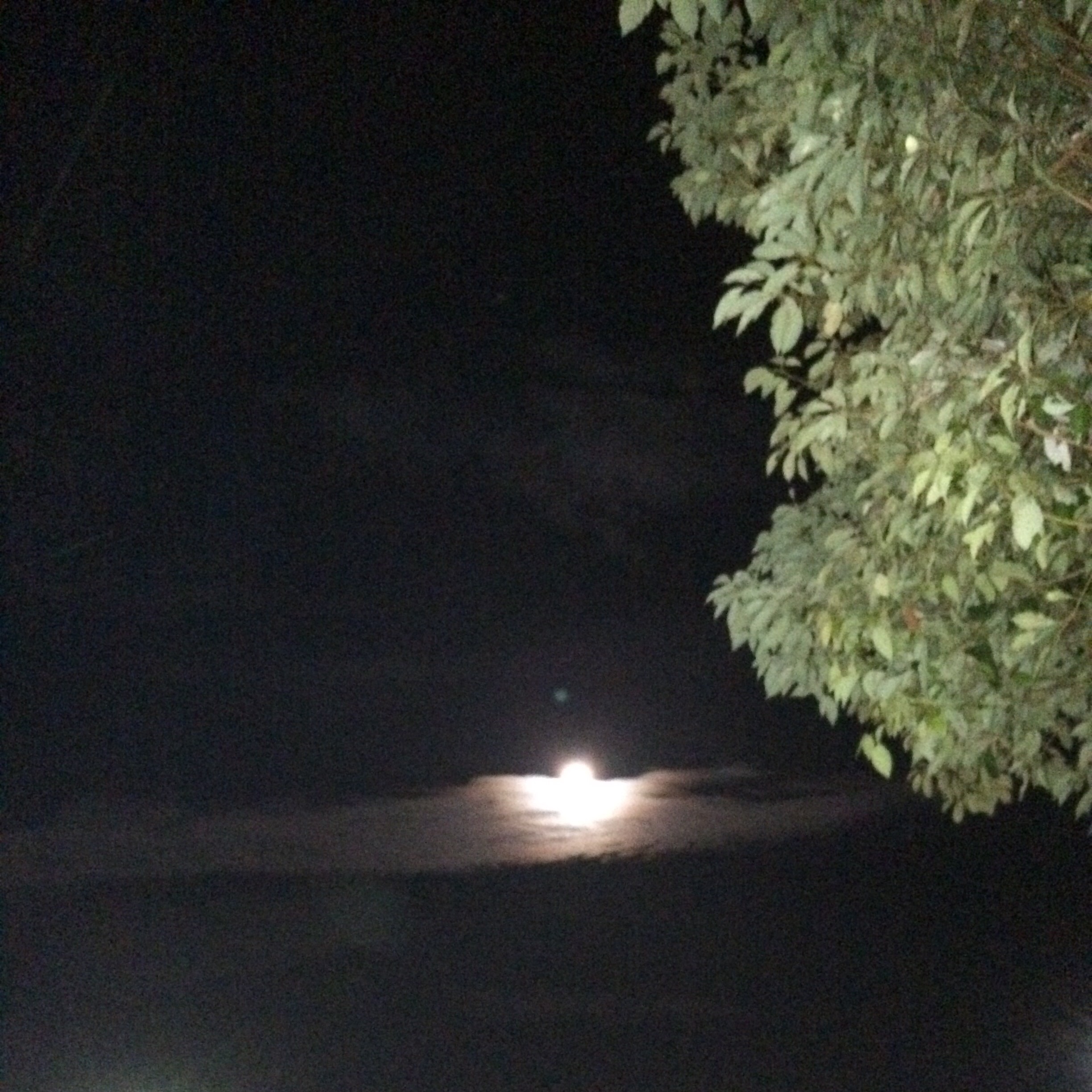 No.53181-1 地震前兆