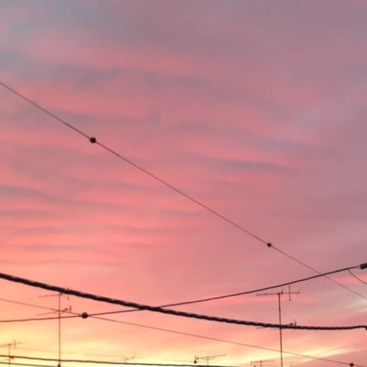 No.53554-1 地震前兆