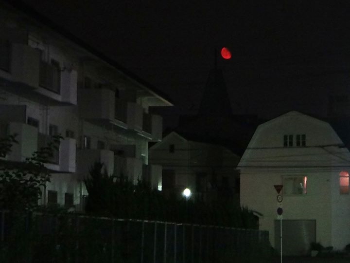 No.55504-1 地震前兆