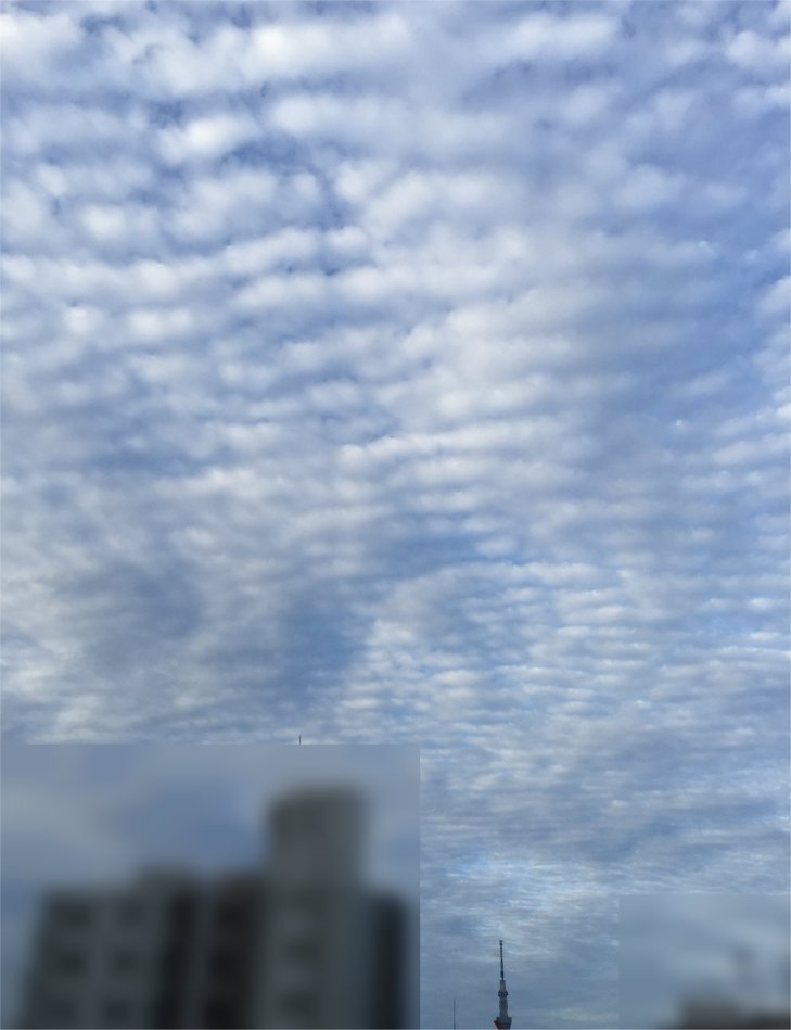 No.55595-1 地震前兆