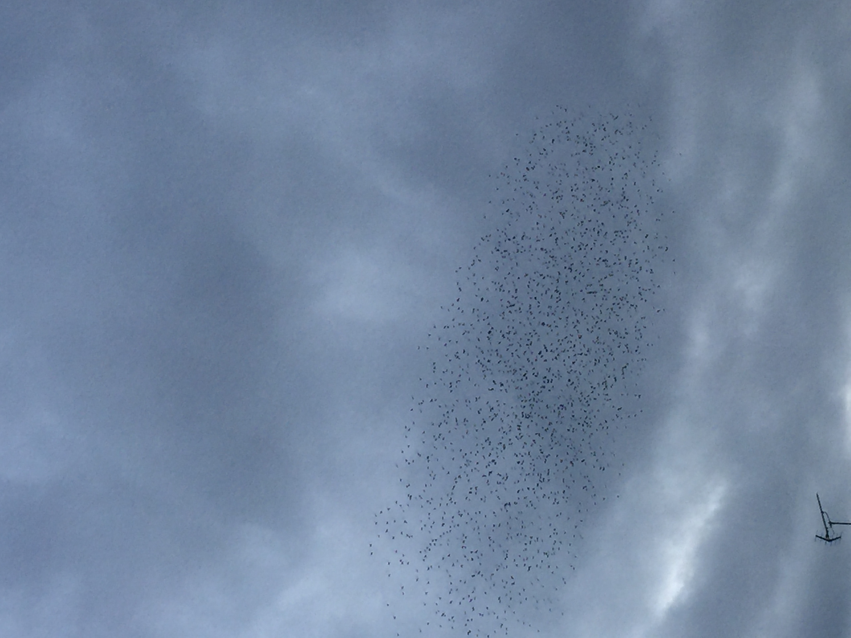 No.58377-1 地震前兆