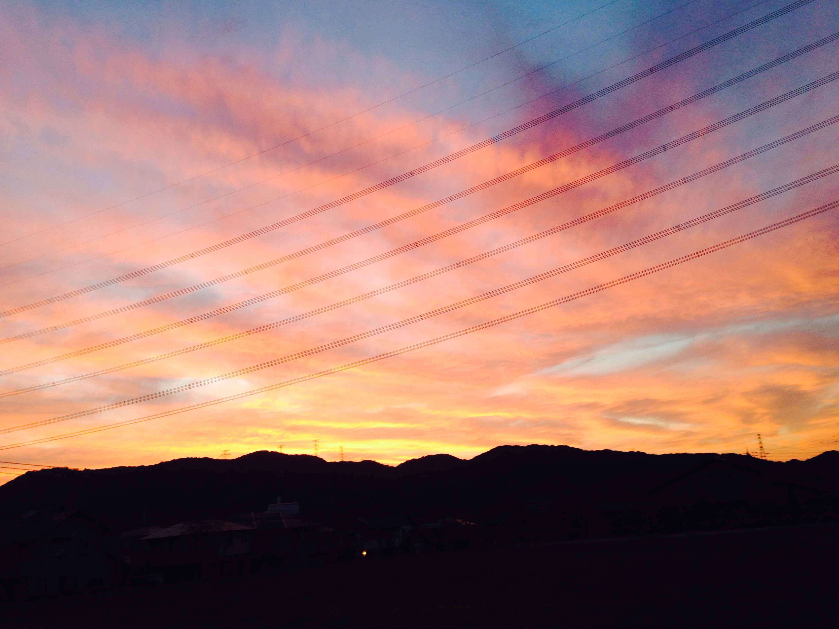 No.61036-1 地震前兆