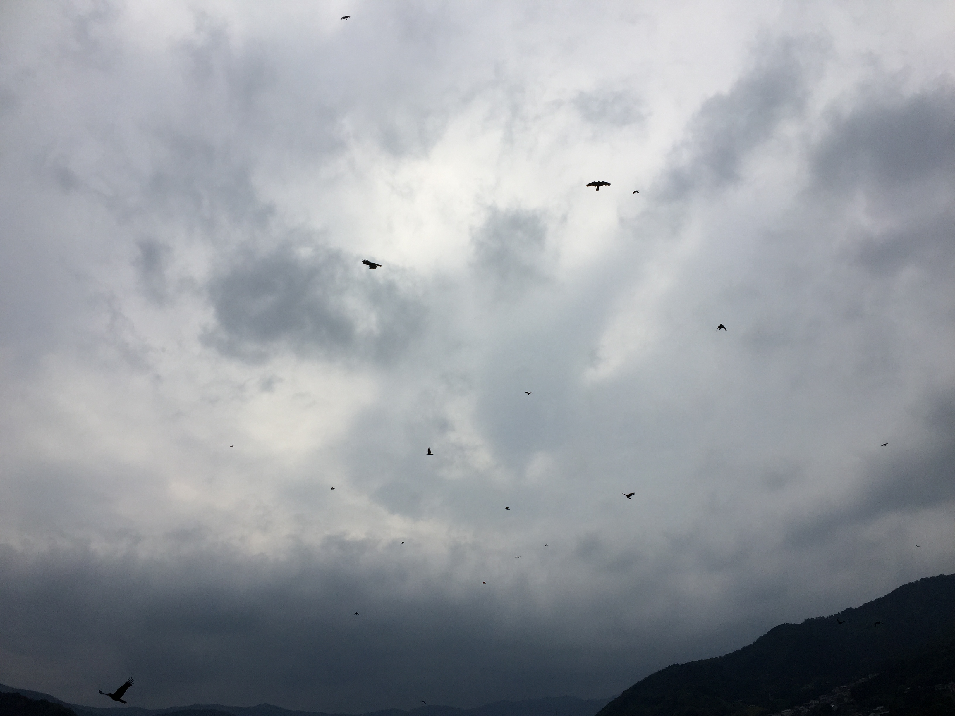 No.62707-1 地震前兆