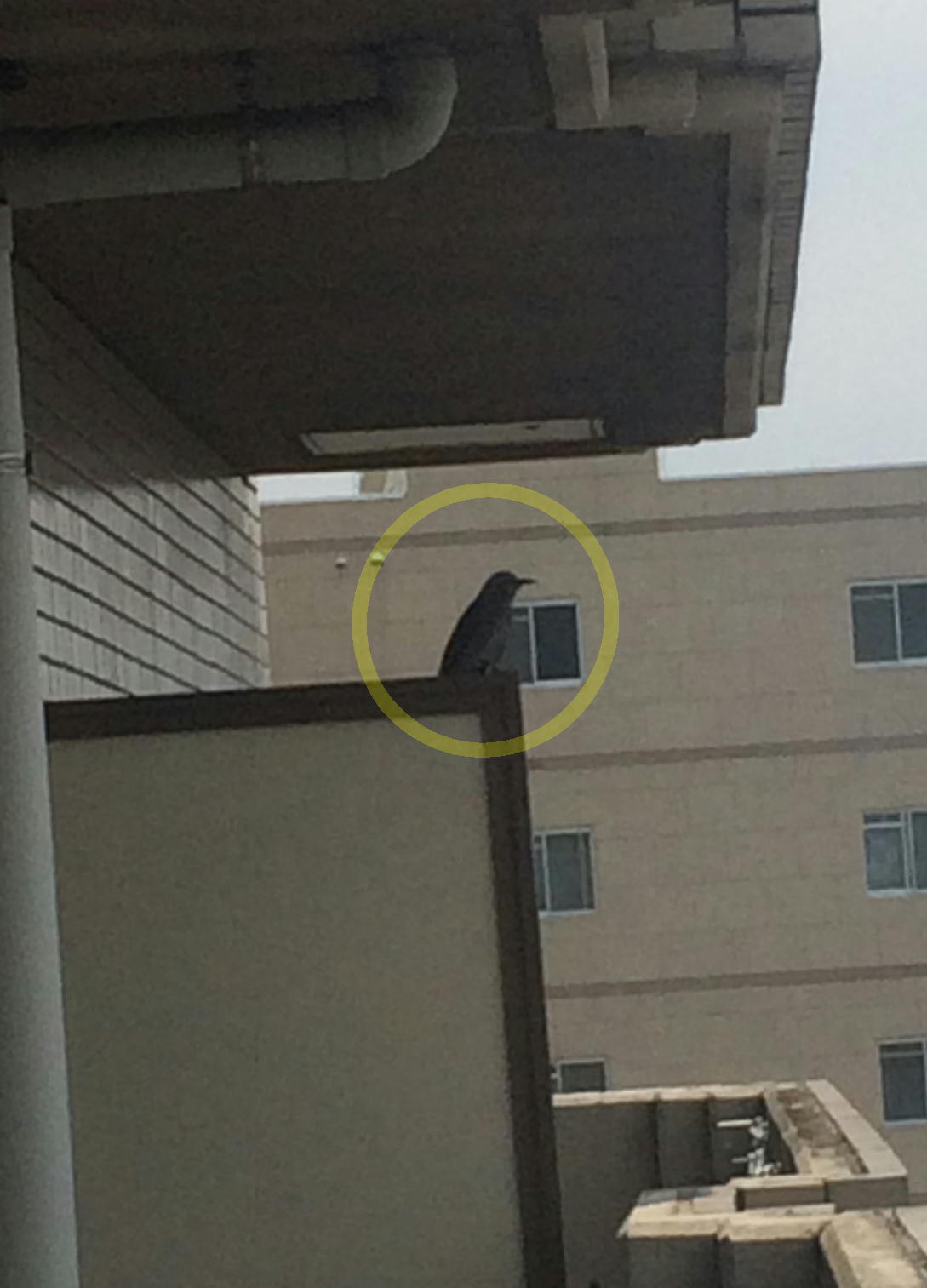 No.63565-1 地震前兆