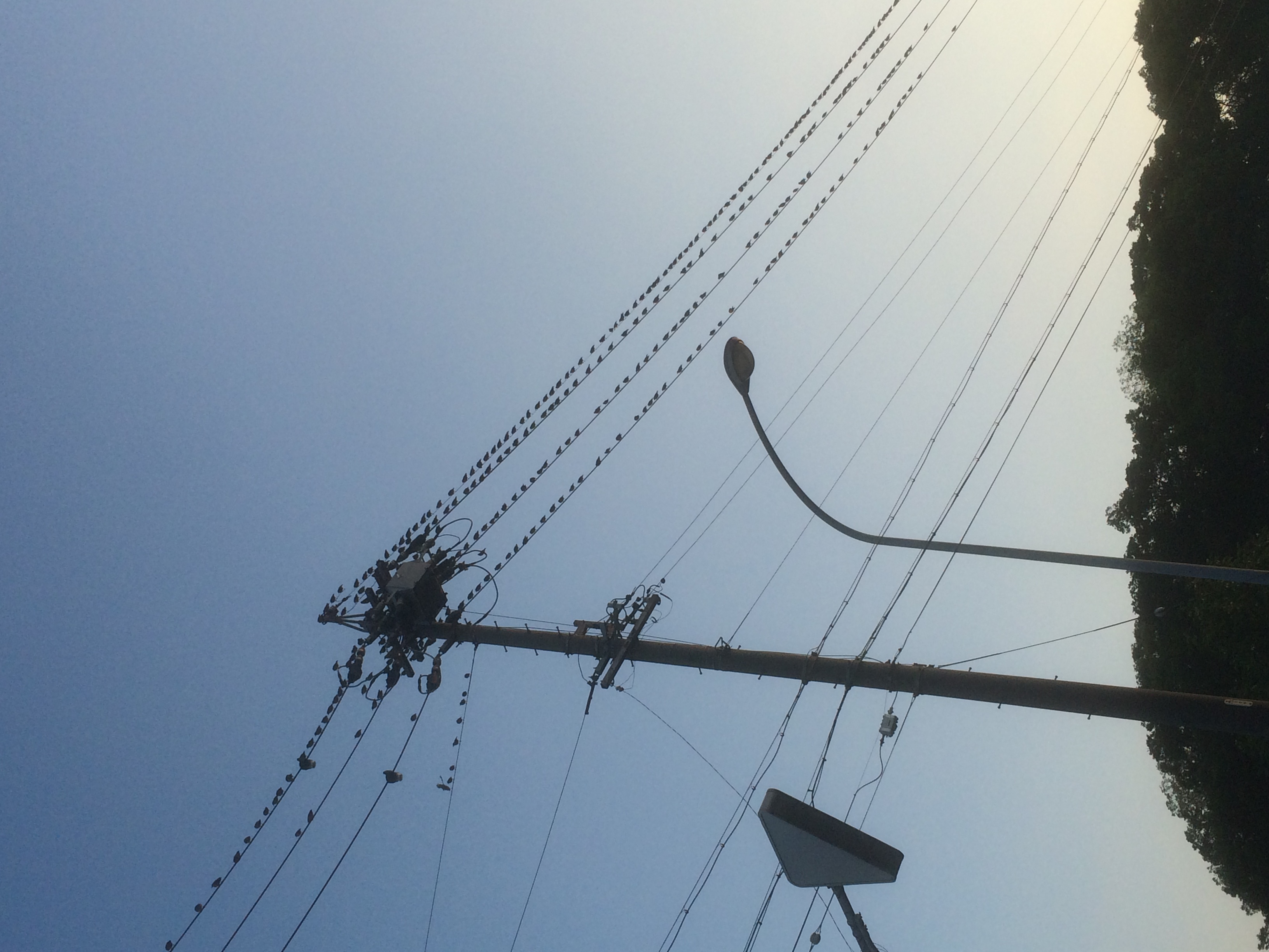 No.65207-1 地震前兆