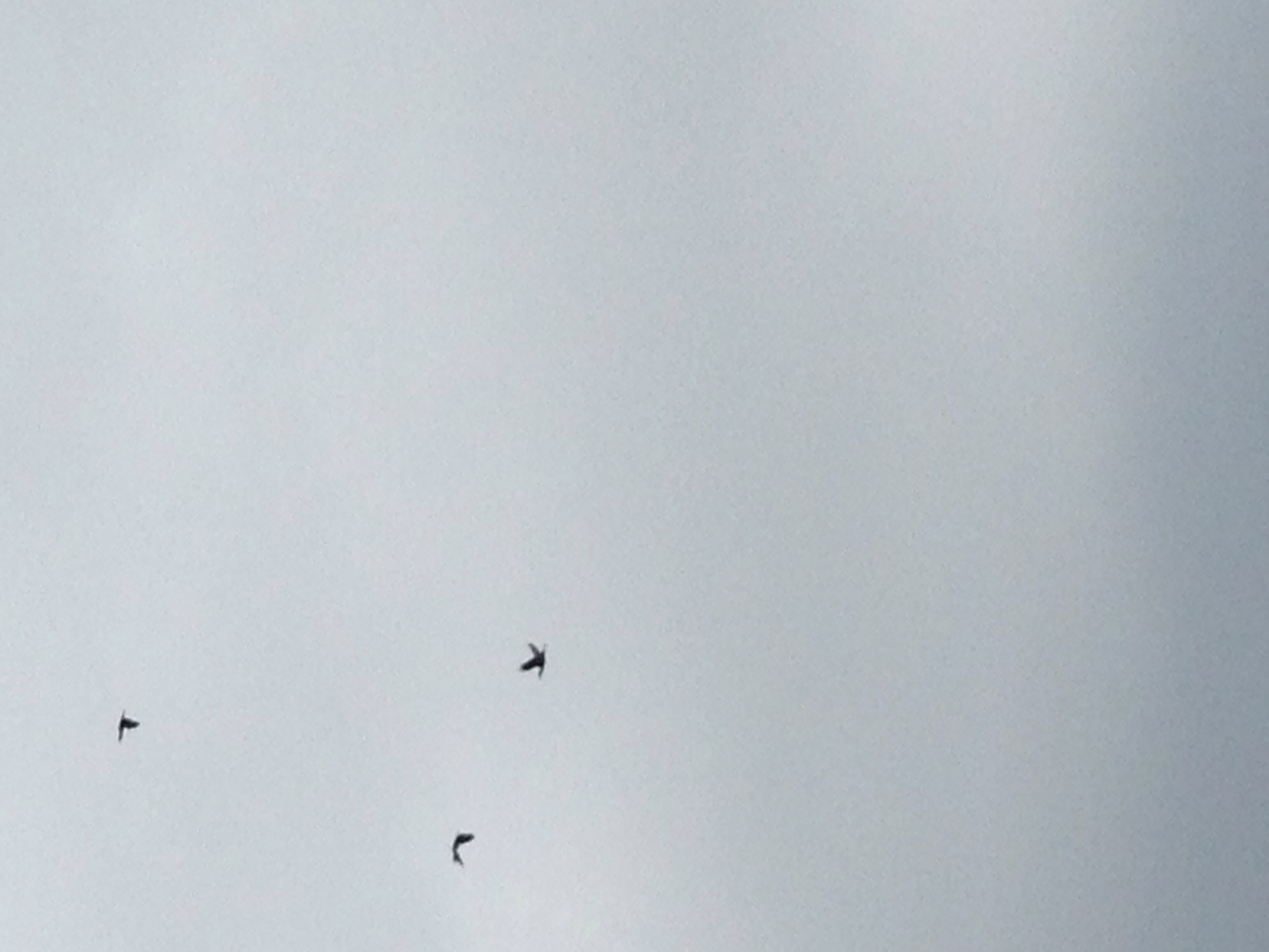 No.66840-1 地震前兆