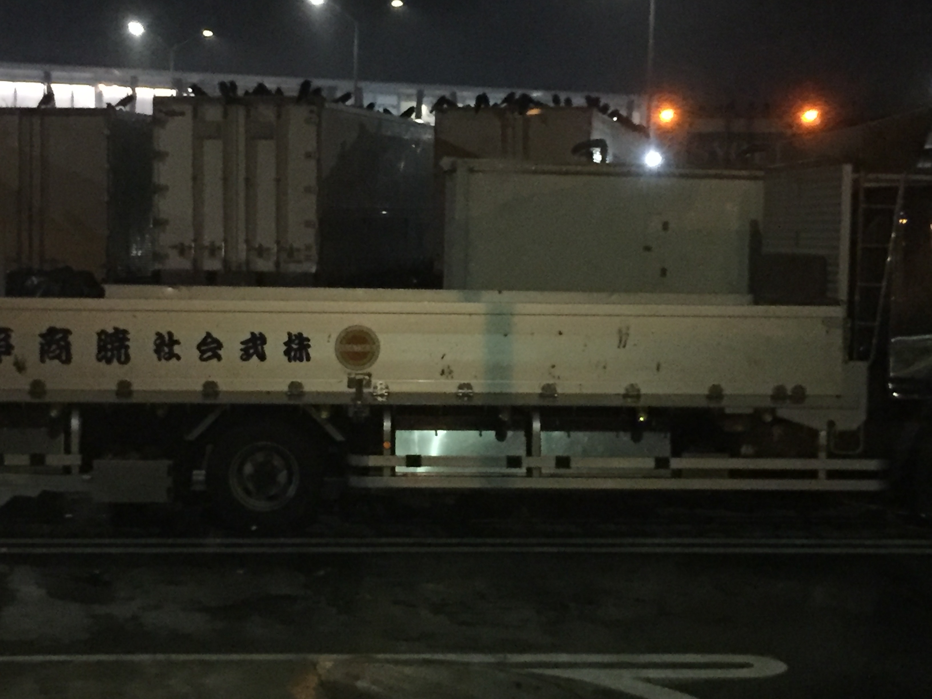 No.67522-1 地震前兆