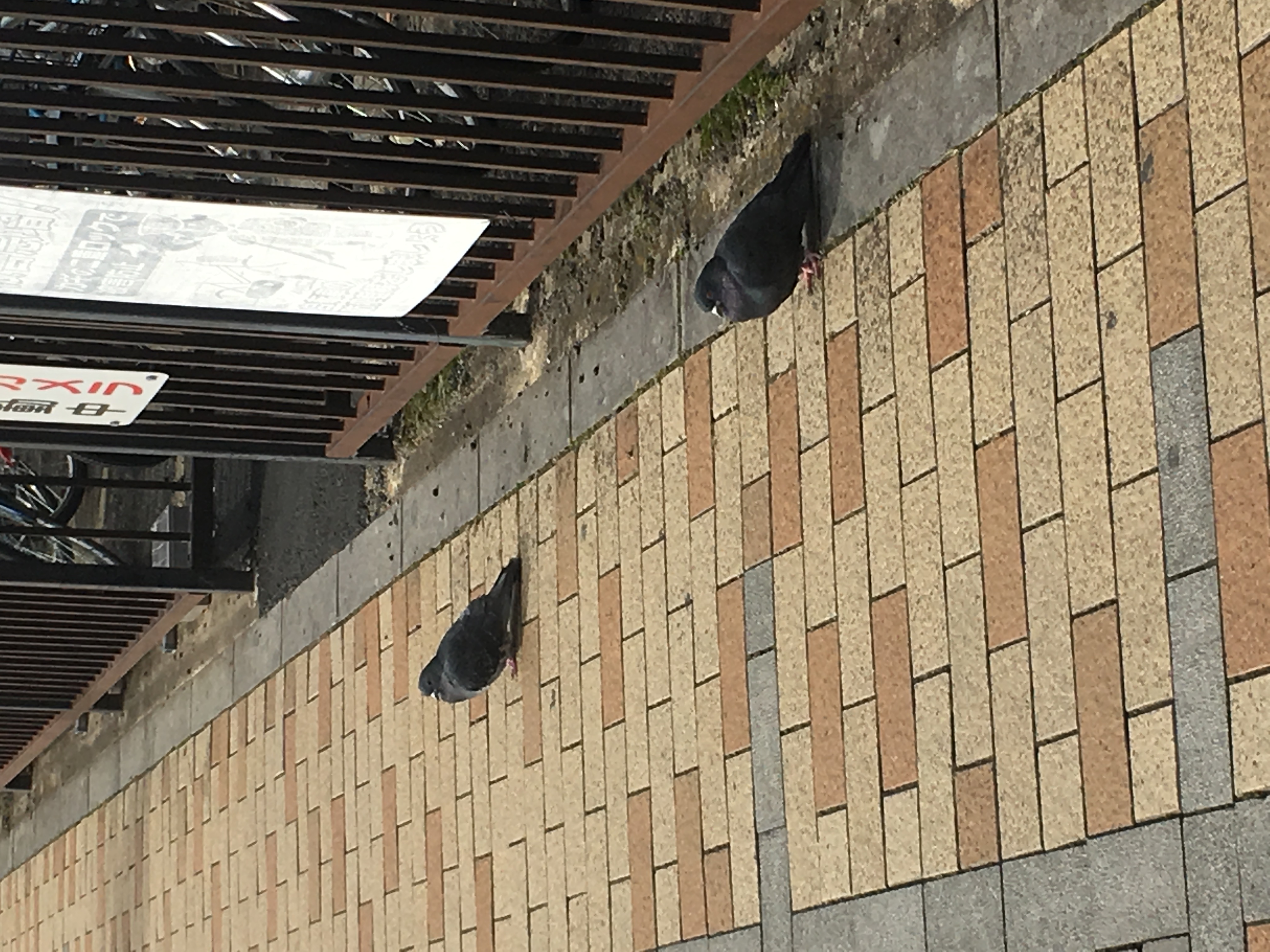 No.72216-1 地震前兆