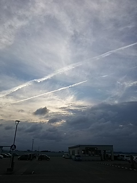 No.80480-1 地震前兆